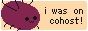 button: i was on cohost!